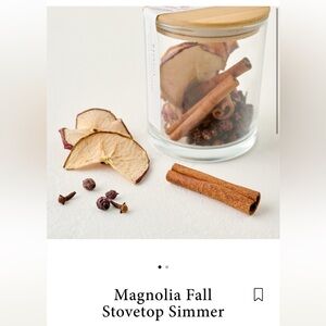 New Magnolia silos spicy apple Stovetop Simmer kit gift